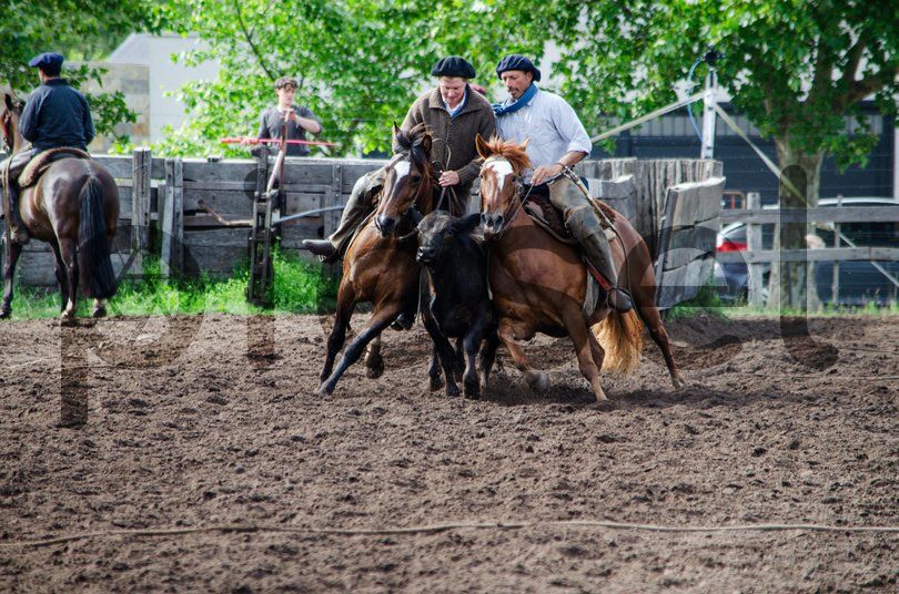 Photo of bb1xcrzfuak31zjccfuxe9a1