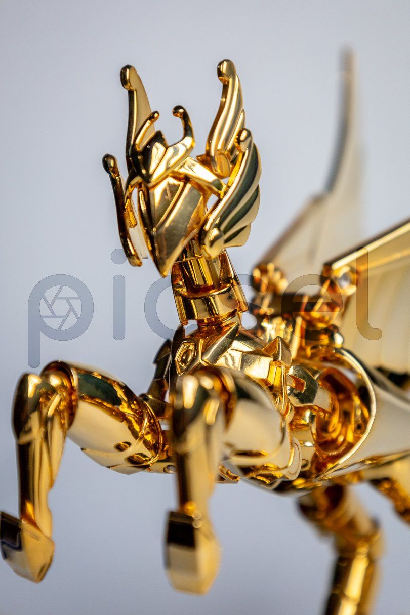 Photo of fusujxwp3jhsbmoxbav2ggsb