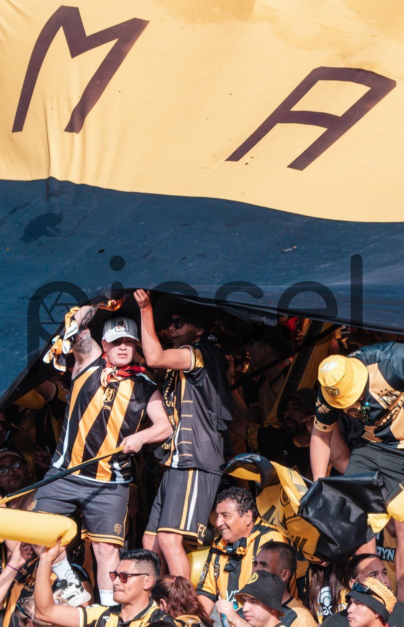 Photo of bcd893hdtm9c8d2zkou8hg0m