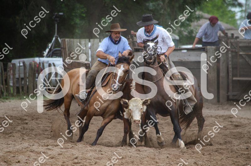 Photo of bcyn9jgdm605i38eopmj87i9