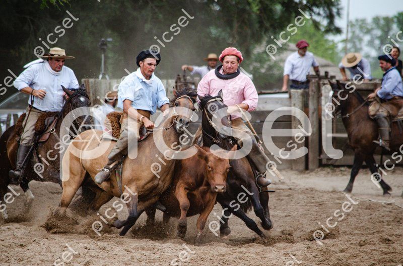 Photo of jqqj60bb9rk3xmnqb1nh6av8