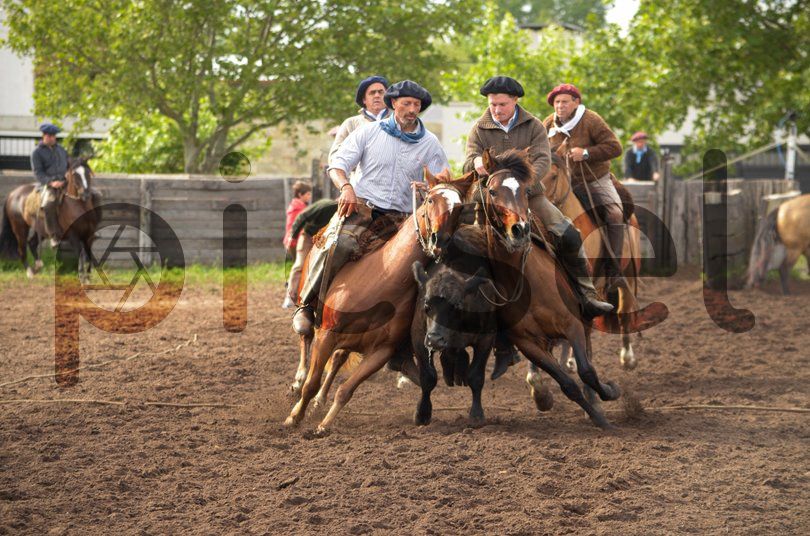 Photo of k72ser3yafnokpi2meuij6wm