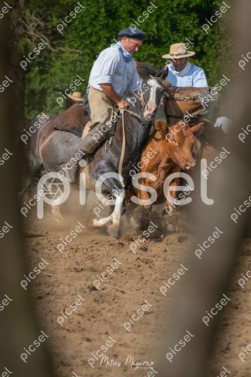 Photo of bo6trkt51m94usd0uxa33ck2