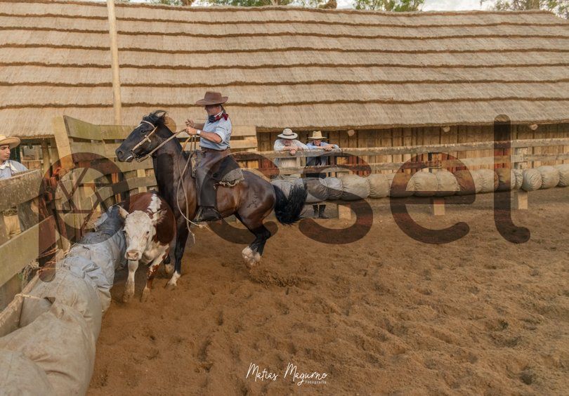 Photo of toy16h71wocnpsty5utzwa76