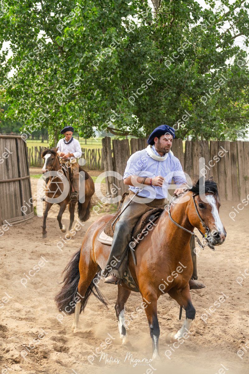 Photo of uapg1dzkeqvbdr3wn0fg0zs1