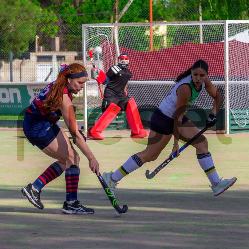 Photo of ql4c1jixusi34cp5ib3vij0g