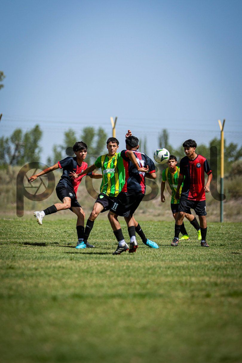 Photo of rgv91pnqxipdvq2zcme15185