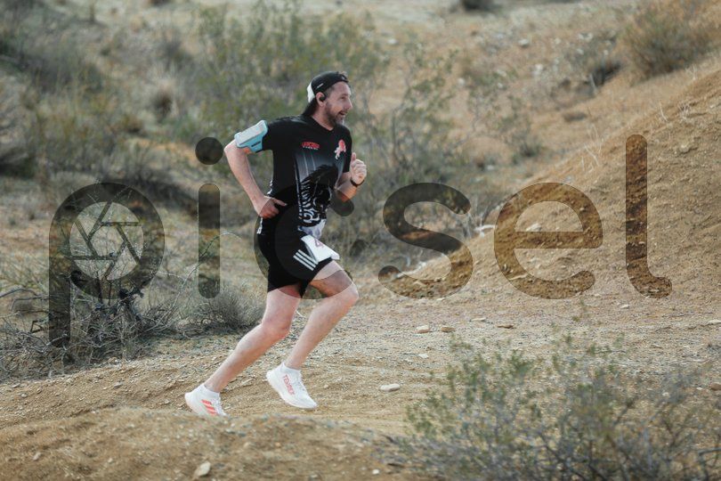 Photo of v7r74ylps26p199v0g748owl