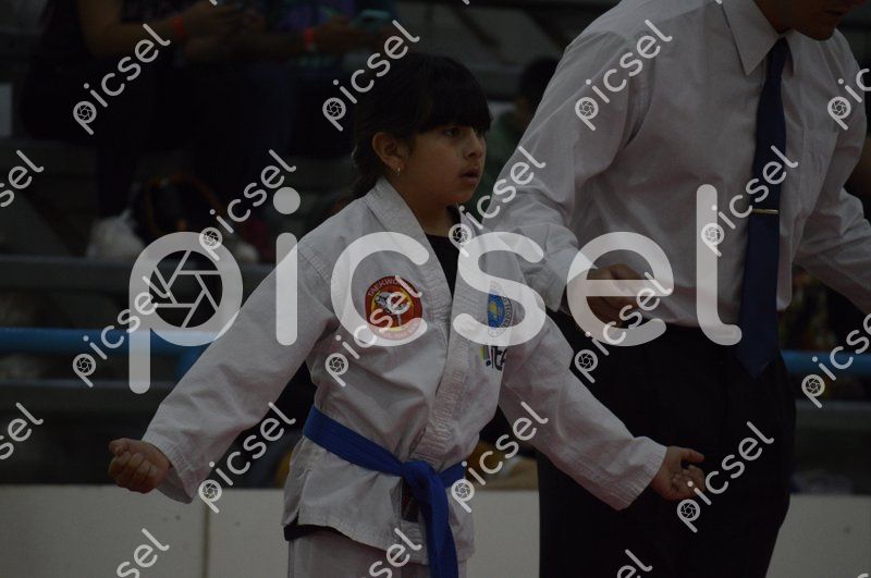 Photo of ajsztd3xdp2khl6crqhr0jrn