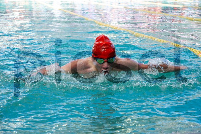 Photo of kvk33eio0s3edqox62429ow8