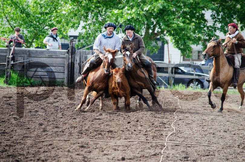 Photo of ibg7102xr185svp9mr0zy53h