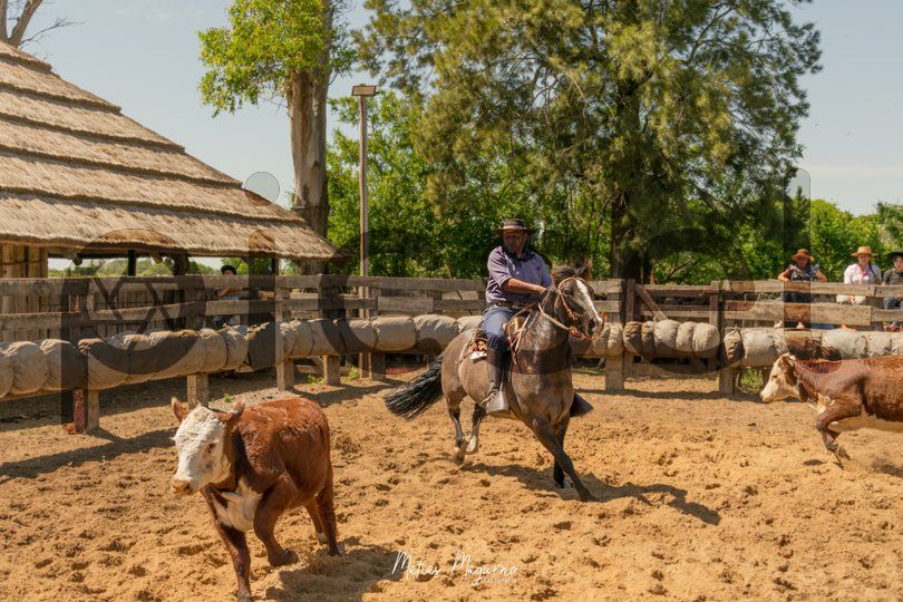 Photo of mmnowwcqbmsvx2xonigjhgnq