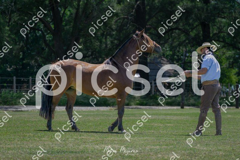 Photo of saq79v5ycuo6f87hcyjogg7i