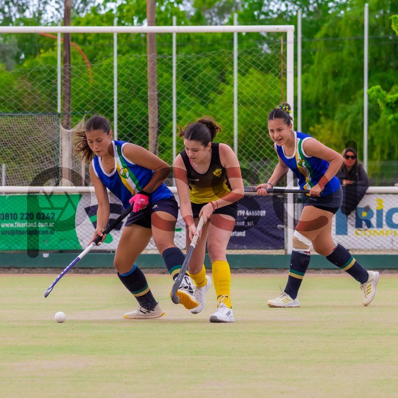 Photo of six86y8poysbn37gdwu76sws