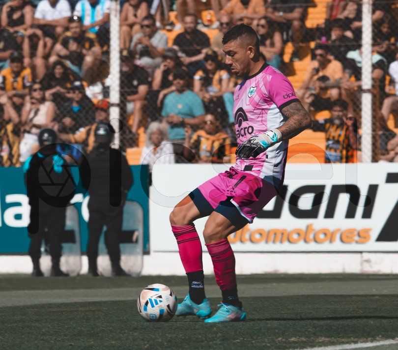 Photo of bp7e2lxp242rt1bjrdha8e2e